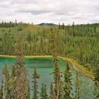 See an der Mt.NansenRd.(Yukon)