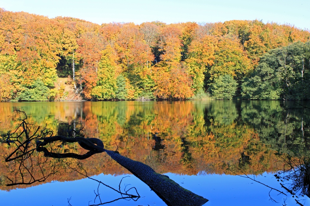 See auf dem Weg zum Kreidefelsen auf Rügen