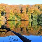 See auf dem Weg zum Kreidefelsen auf Rügen