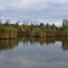 See auf der Braunkohlenabraumhalde Sophienhöhe im Herbst