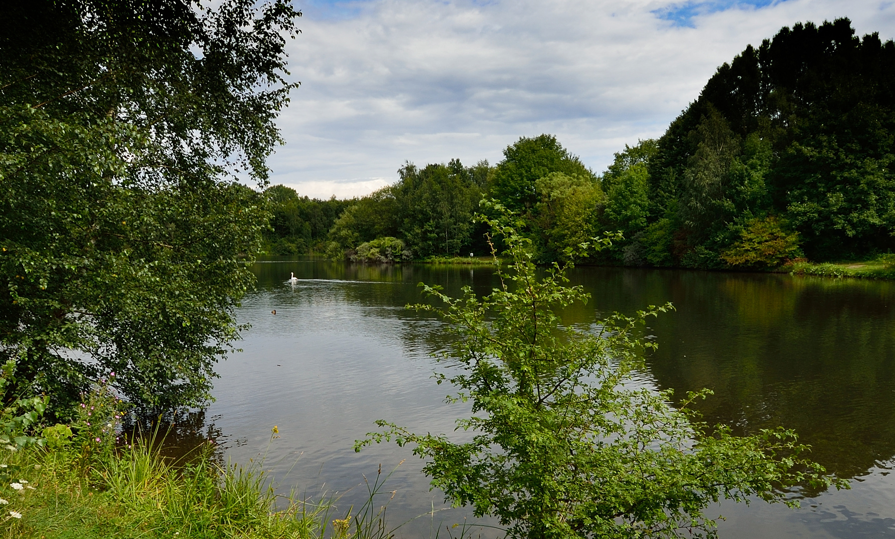 See bei Bedburg