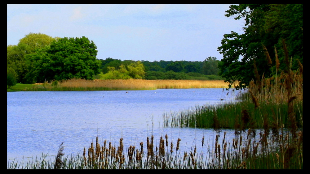 See bei Dessau - Rosslau