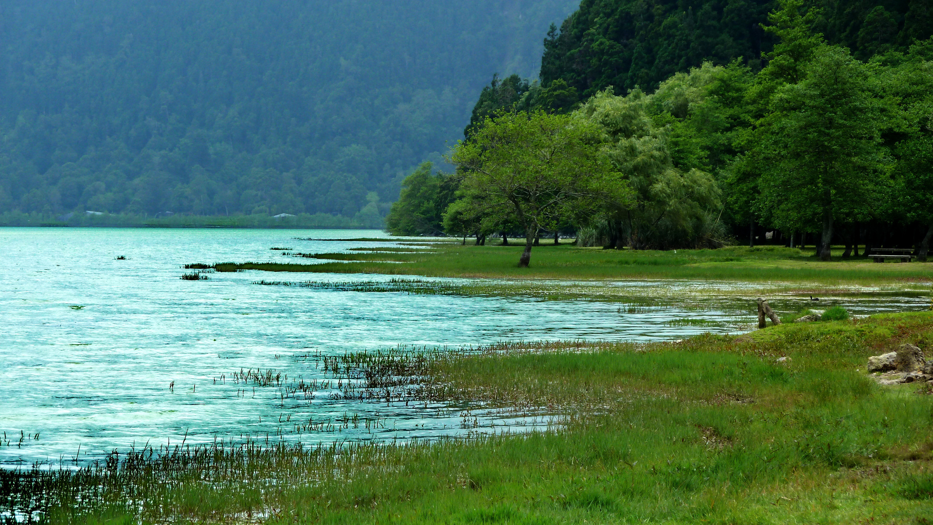 See bei Furnas - Sao Miguel