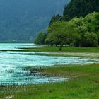 See bei Furnas - Sao Miguel