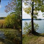 See bei Limsdorf   - (3D-II-View)