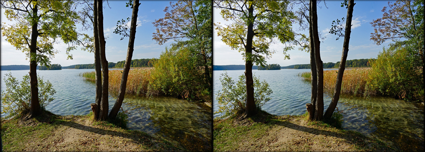 See bei Limsdorf   - (3D-II-View)