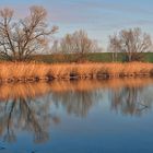 See bei Nünchritz in Sachsen