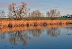 See bei Nünchritz in Sachsen