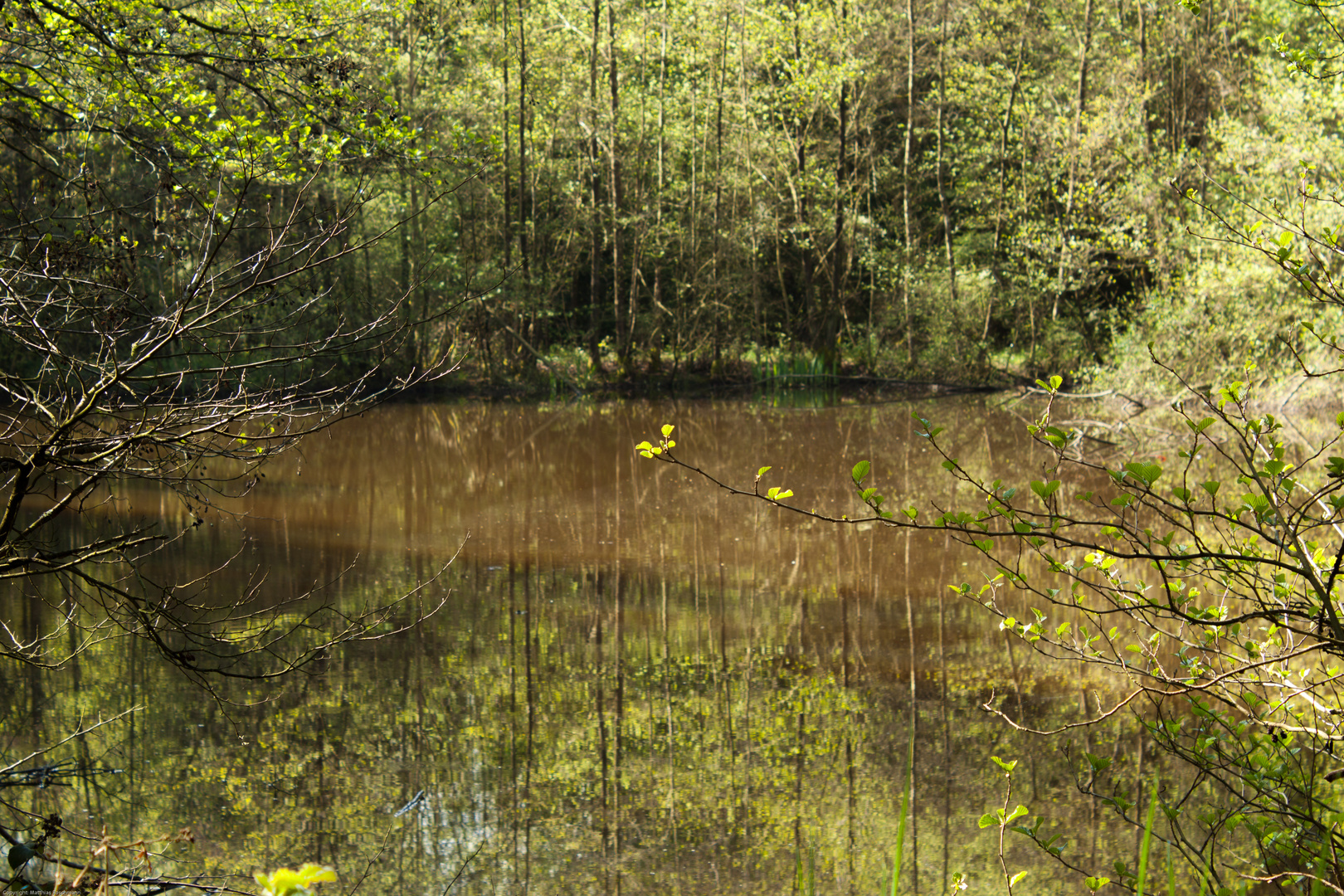 See bei Reckershausen