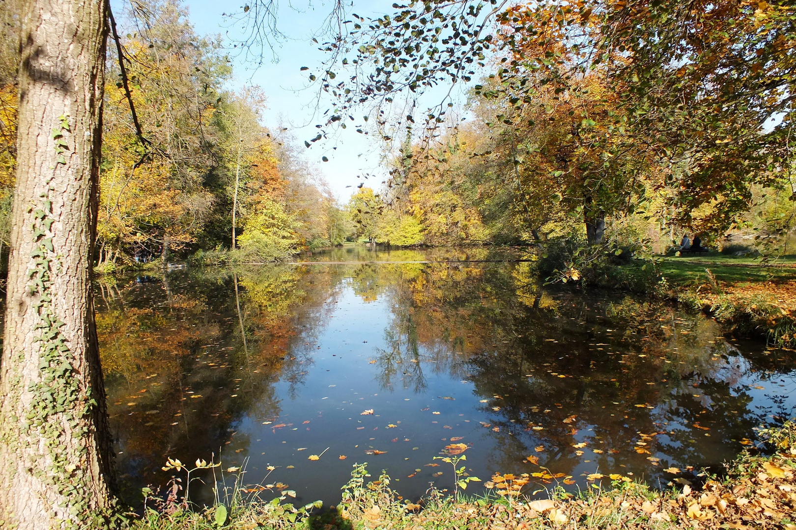 See beim Monrepos in Ludwigsburg