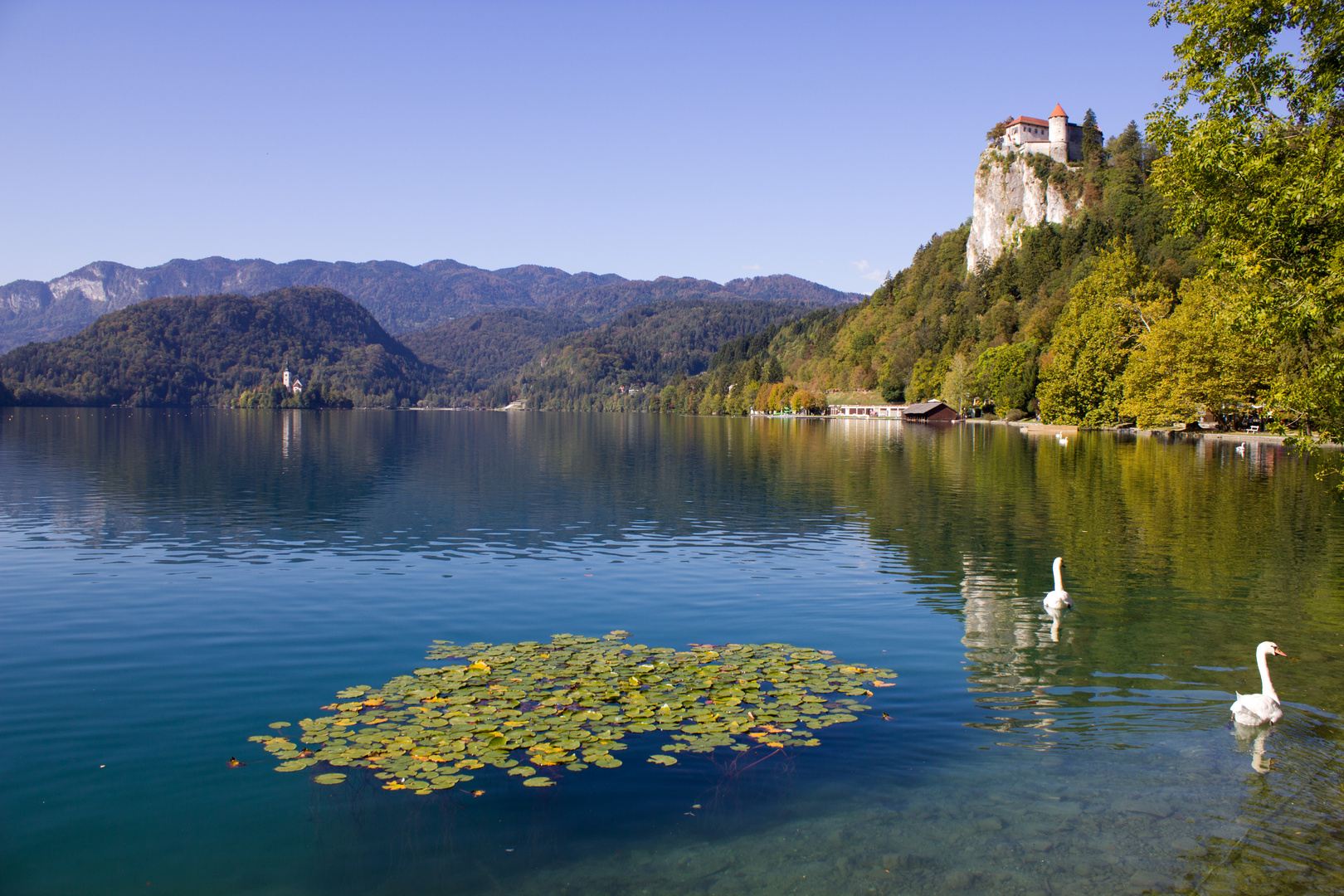 See Bled