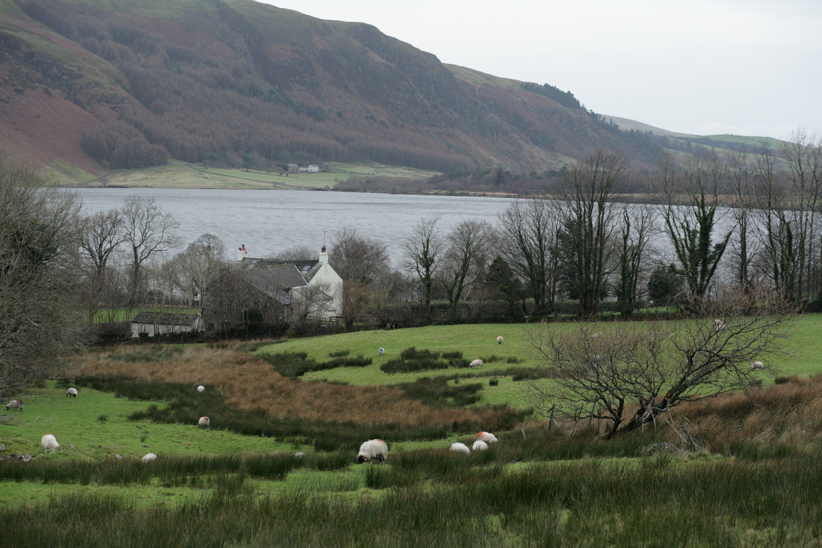 See-Idyll am Ennerdale Water