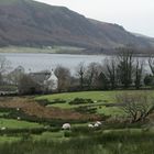 See-Idyll am Ennerdale Water