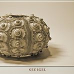 See-Igel