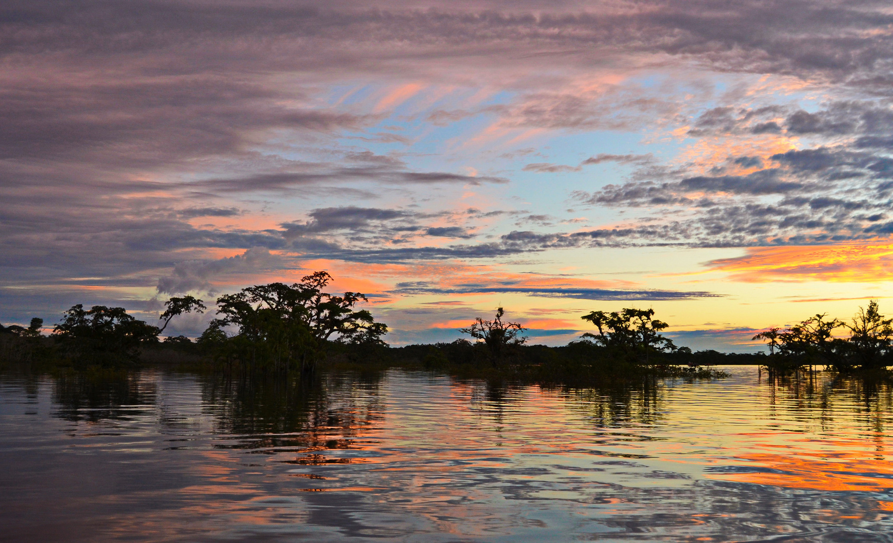 See im Amazonasgebiet