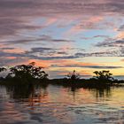 See im Amazonasgebiet
