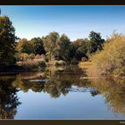 See im Botanischen Garten