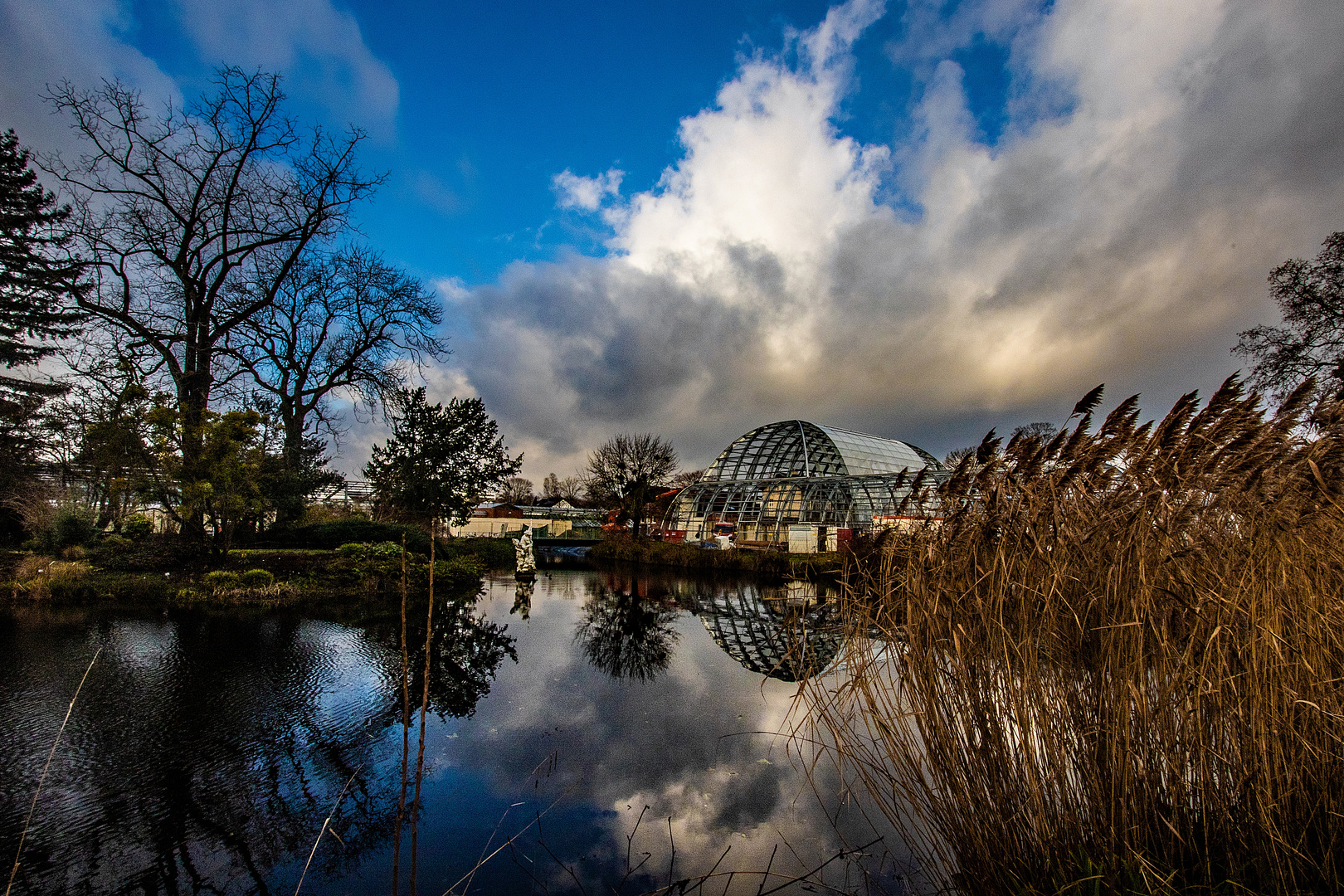 See im Botanischen Garten in Köln.