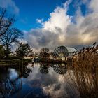 See im Botanischen Garten in Köln.