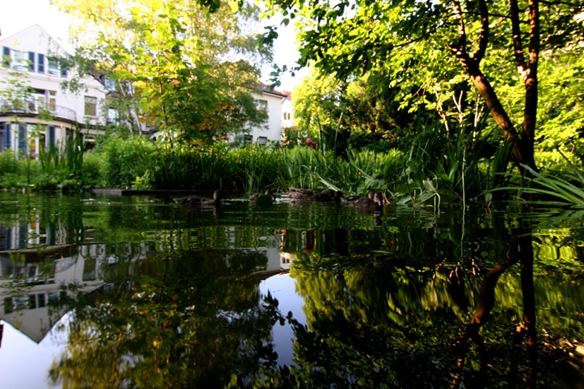 see im frankfurter schwesterngarten