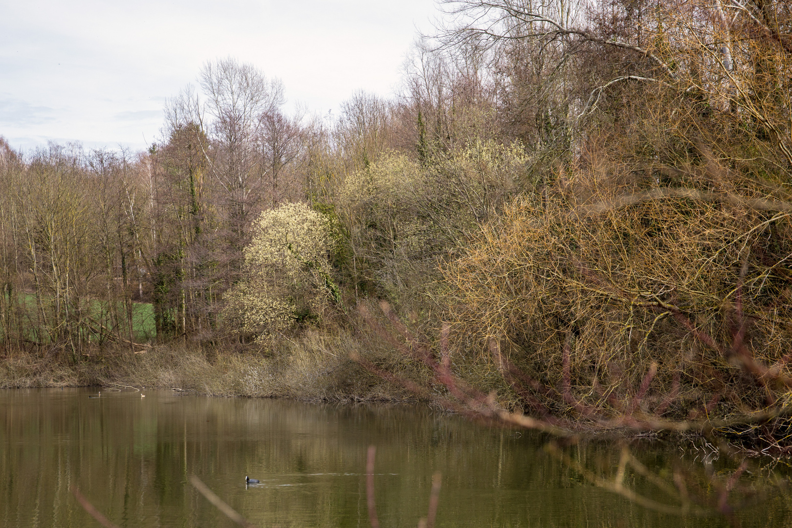 See im Frühling