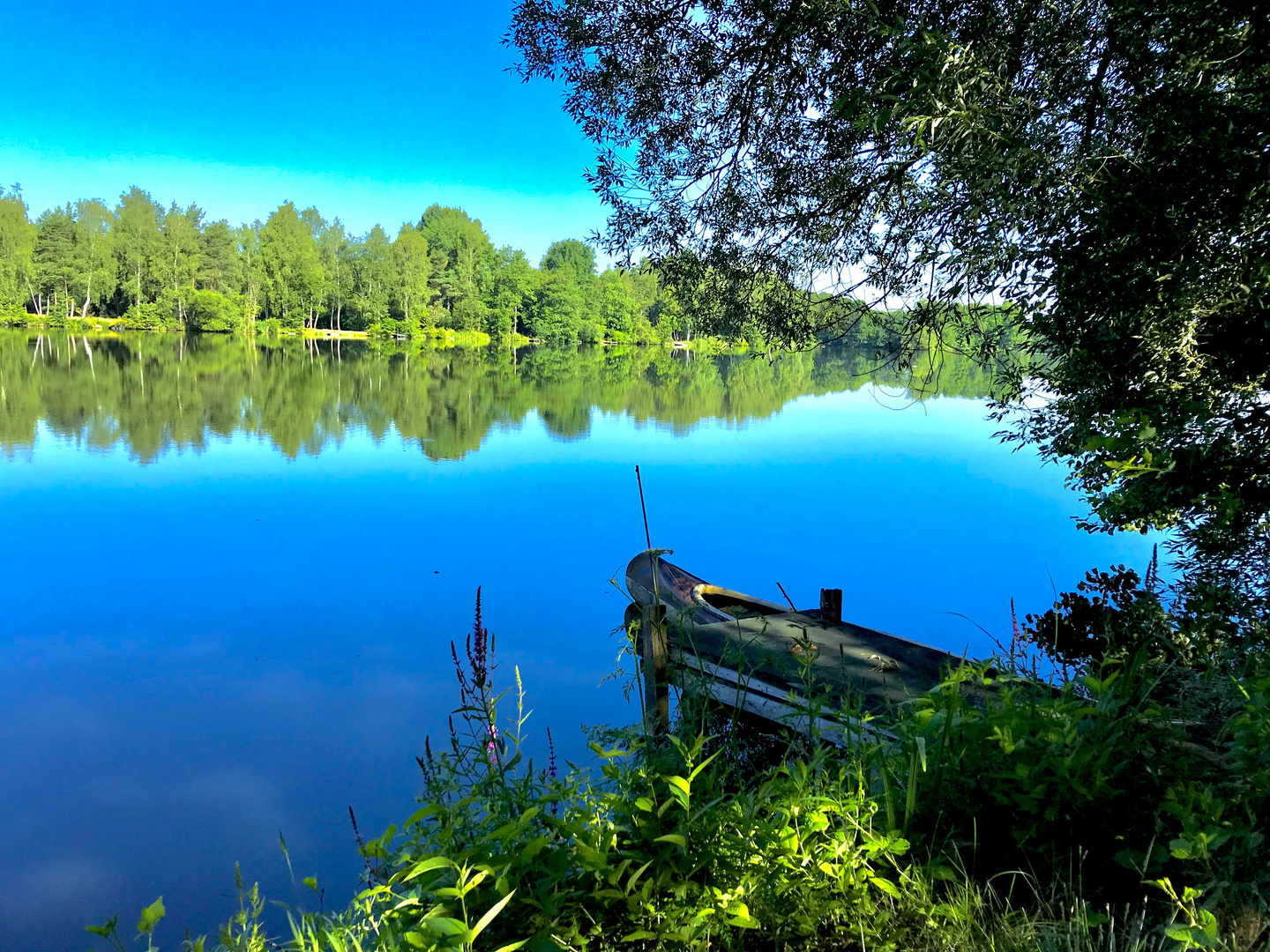 See im Grünen