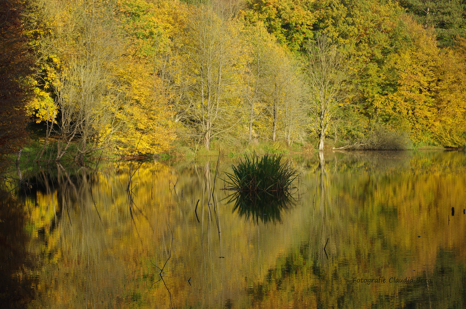 See im Herbst