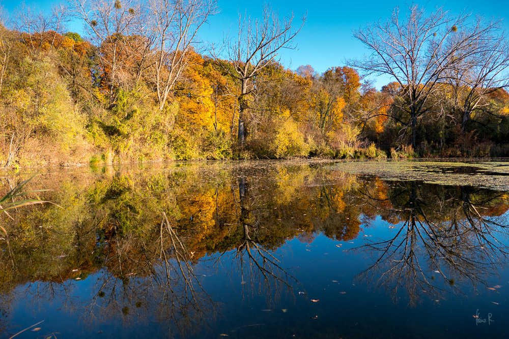 See im Herbst