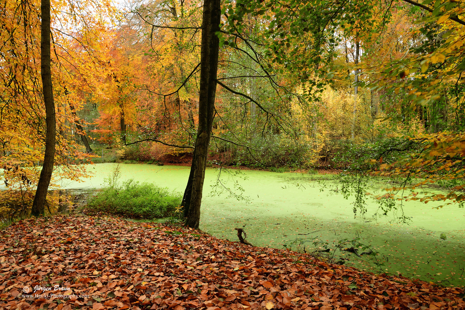 See im Herbst