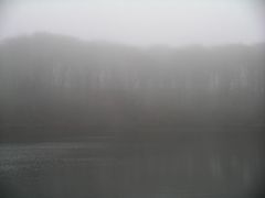 See im Herbstnebel