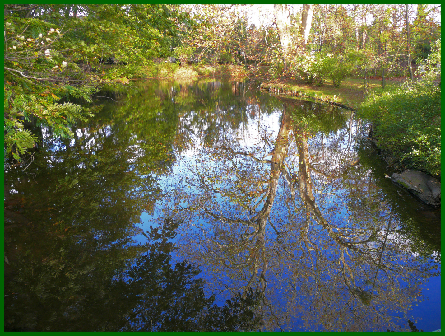 See im Herbstwald