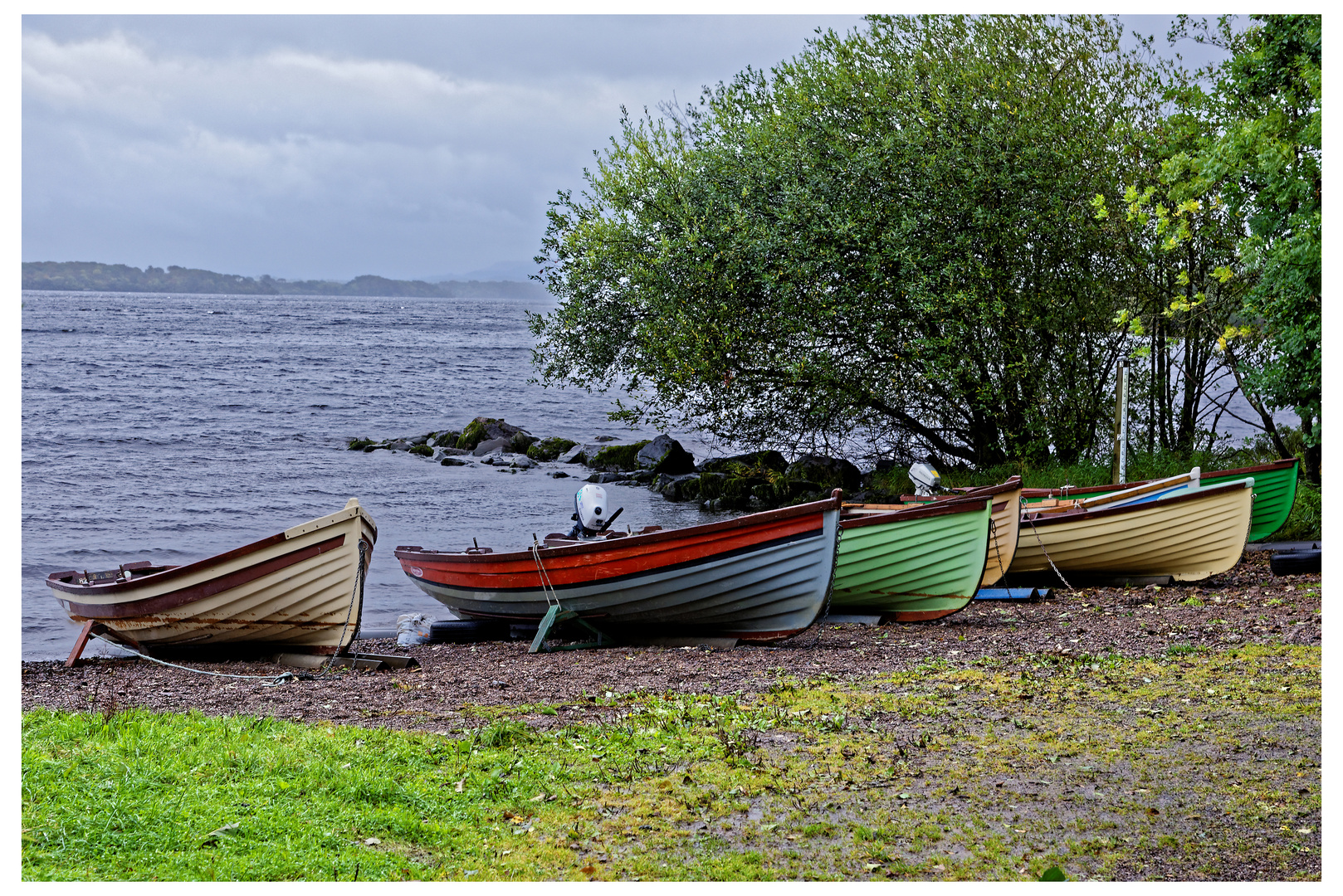 See im Killarney National Park