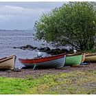 See im Killarney National Park