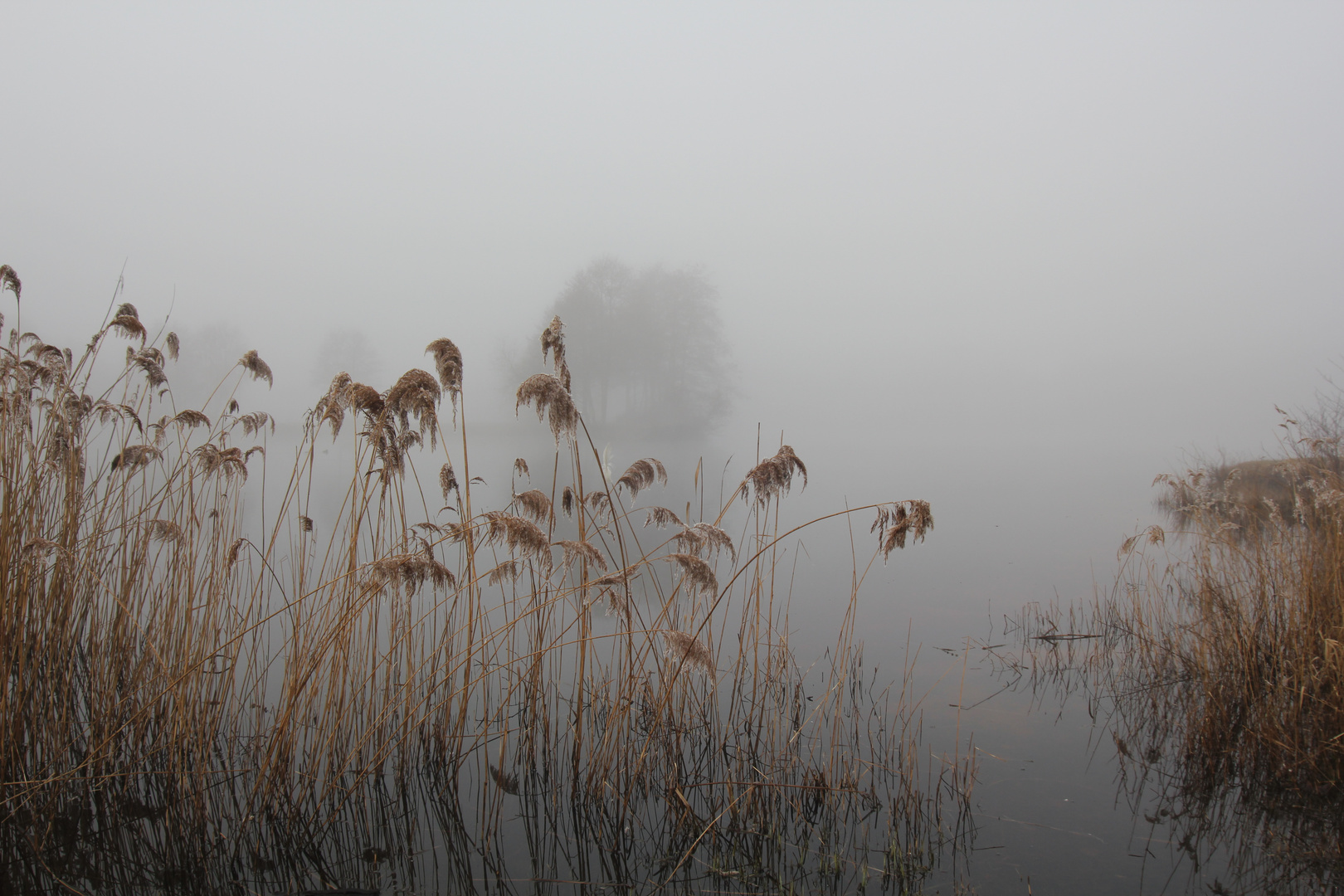 See im Nebel.