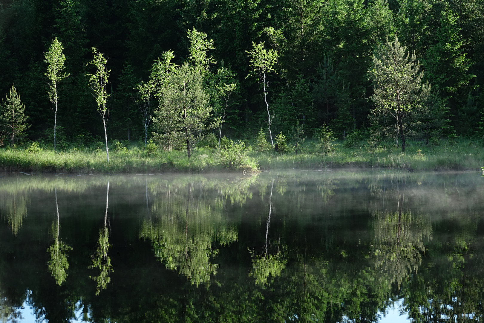 See im Nebel.