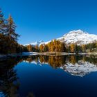 See im Oberengadin (Graubünden / Schweiz)