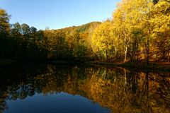 See im Pfälzer Wald