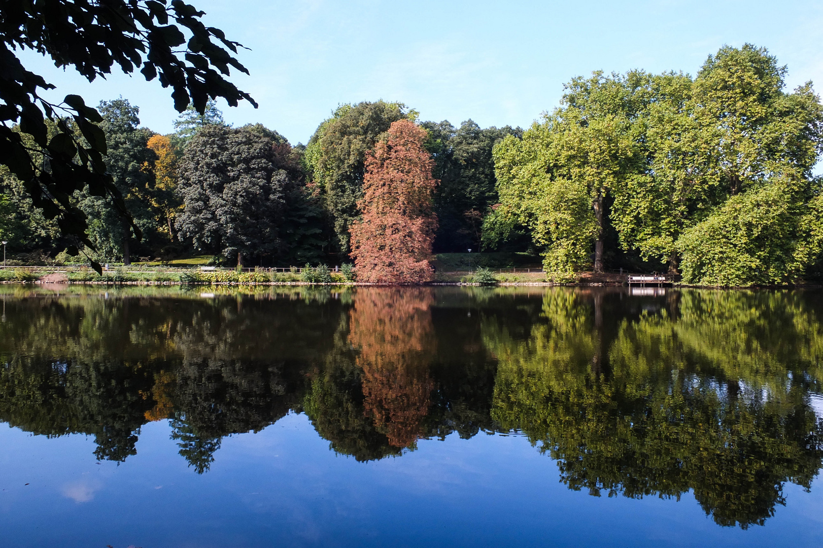 See im Rombergpark Dortmund