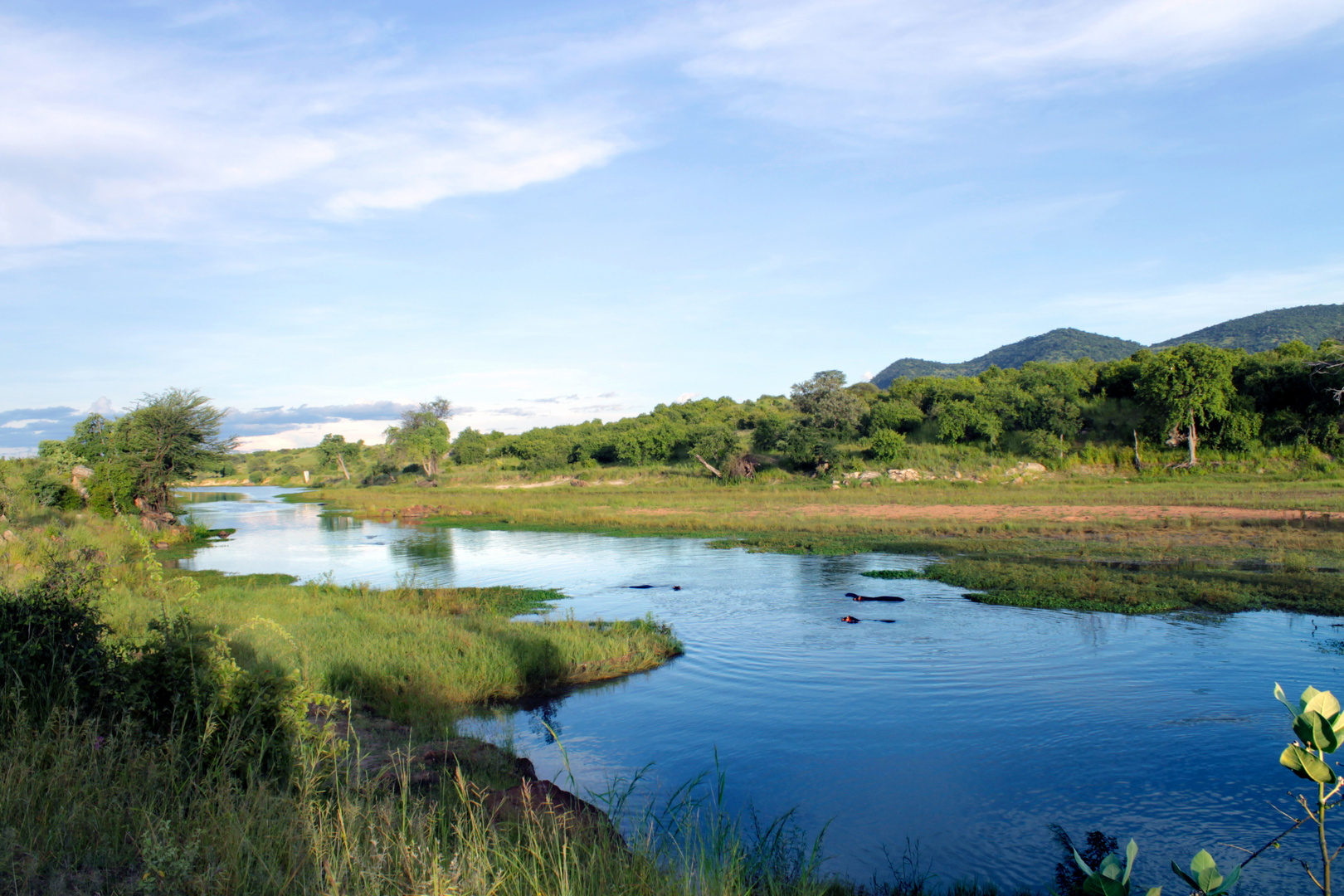 See im Ruaha Nationalpark mit Nilpferden