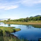 See im Ruaha Nationalpark mit Nilpferden