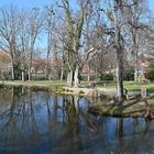 See im Schlosspark in Öhringen