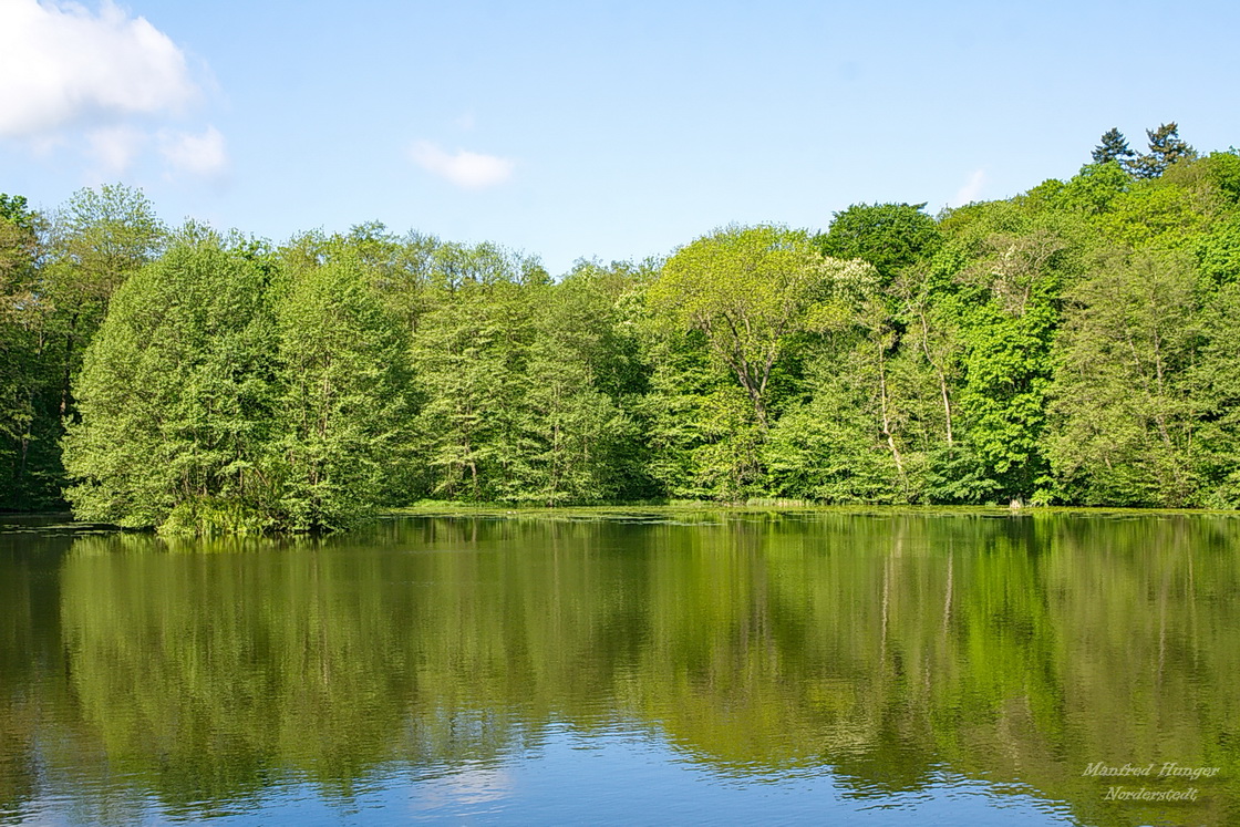 See im Schloßpark von Ballenstedt (1)