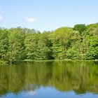 See im Schloßpark von Ballenstedt (1)