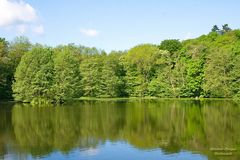 See im Schloßpark von Ballenstedt (1)