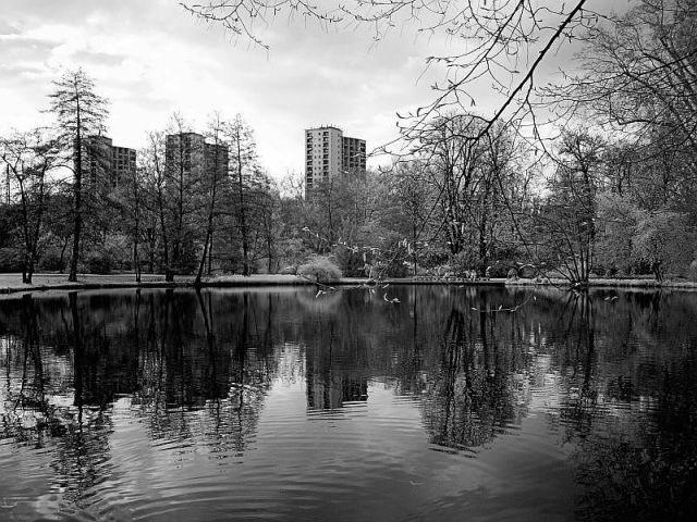 See im Stadtpark