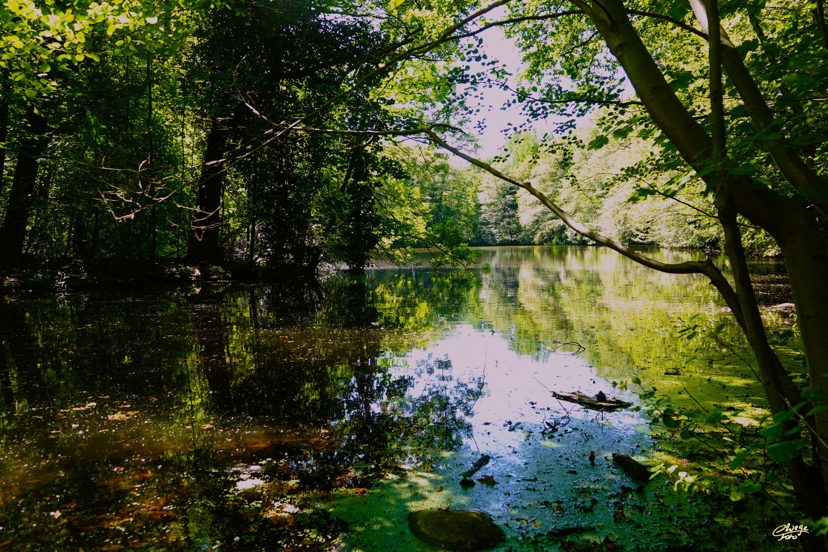 See im Steinbergpark, Berlin-Reinickendorf