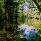 See im Steinbergpark, Berlin-Reinickendorf