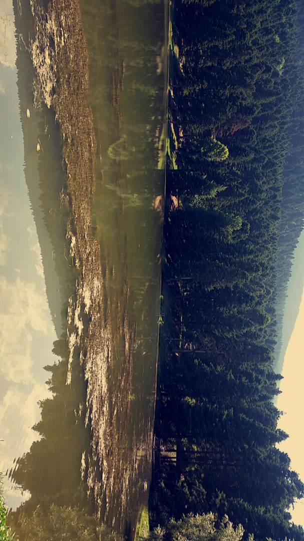 See im Wald oben auf den Bergen 