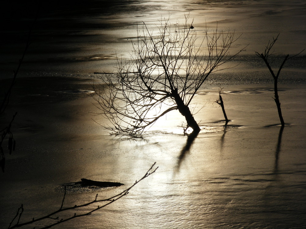 See im Winter mit Sonnenuntergang