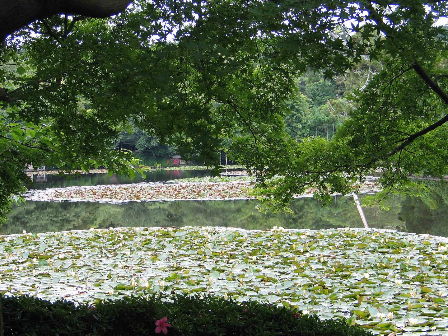 See in dem japanischen Park Kinkaku-ji bei Kyoto